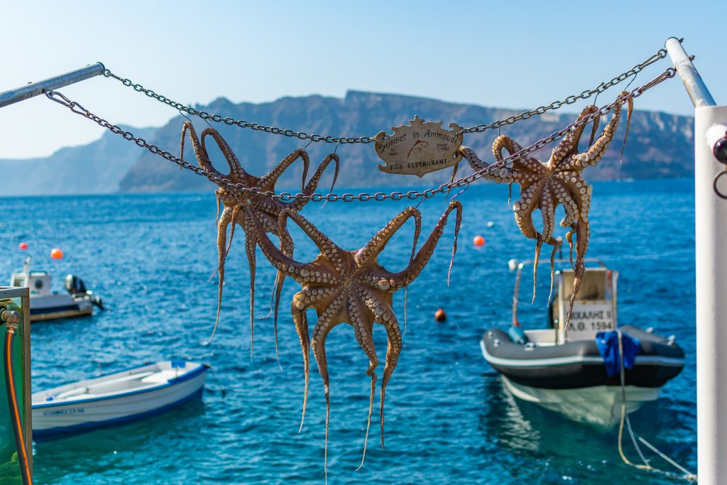 Octopuses hanging up at sunset in ammoudi restaurant in ammoudi bay oia santorini greece