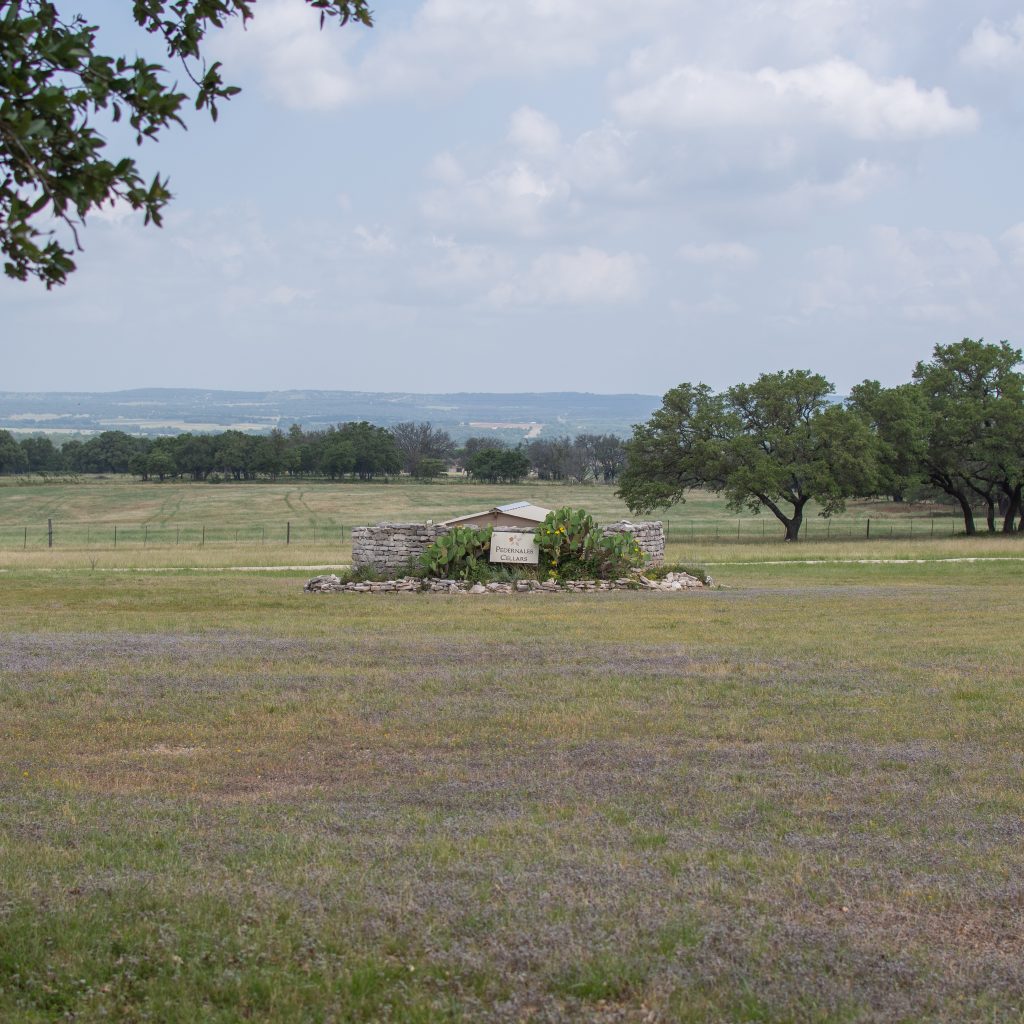 pedernales cellars in fredericksburg texas, pedernales cellars patio deck under large oak tree overlooking the valley with tables for tasting and people hanging out. best wineries in fredericksburg tx