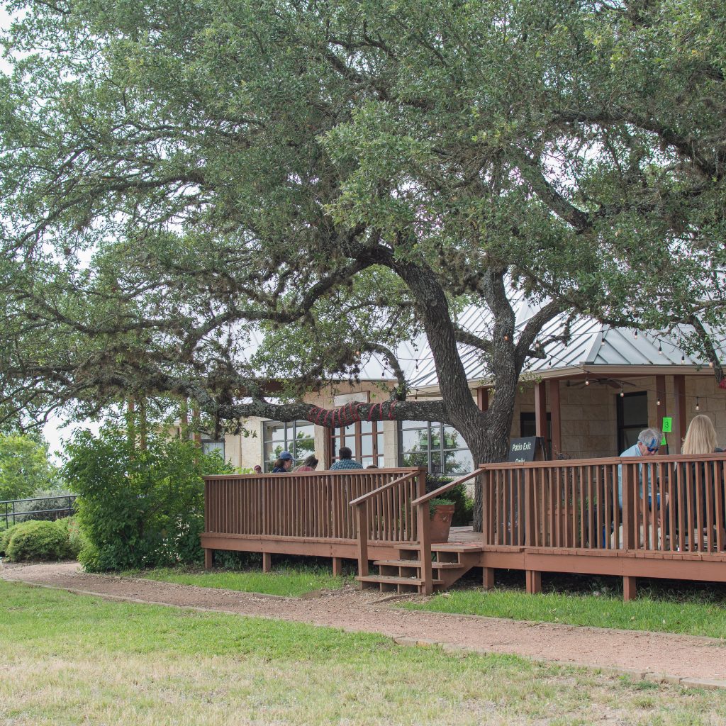 pedernales cellars in fredericksburg texas, pedernales cellars patio deck under large oak tree overlooking the valley with tables for tasting and people hanging out. best wineries in fredericksburg tx