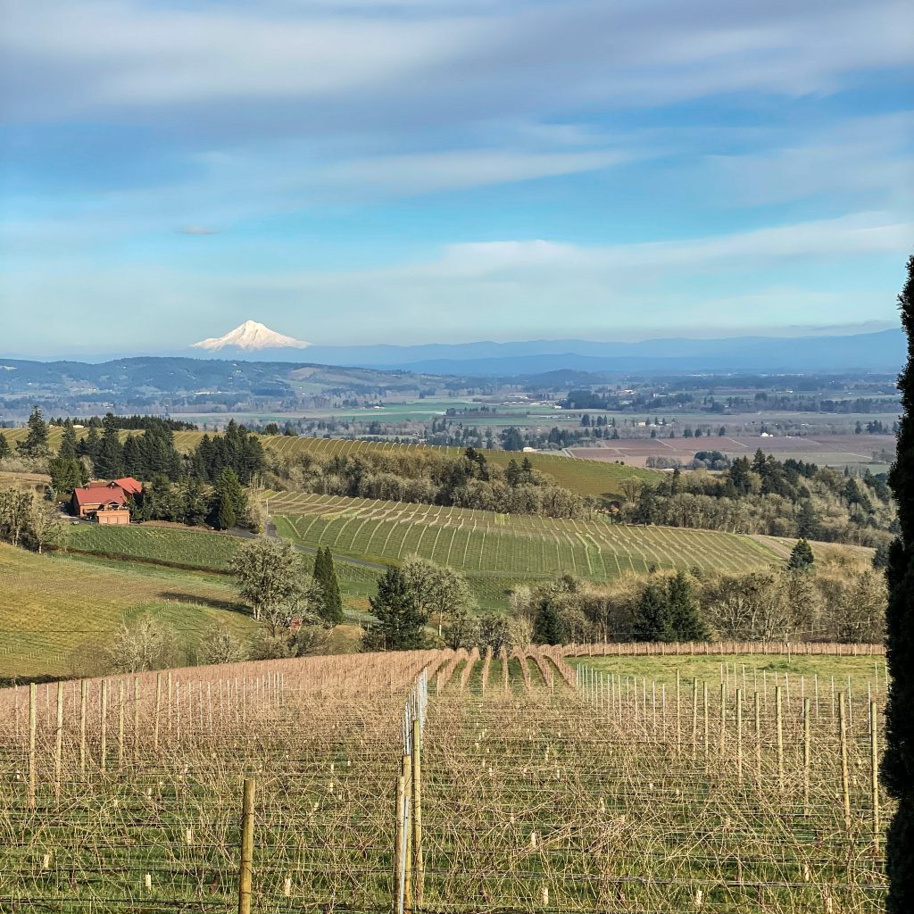 The best wineries in Willamette Valley. White Rose Estate. Dayton, Oregon. Willamette Valley wineries.