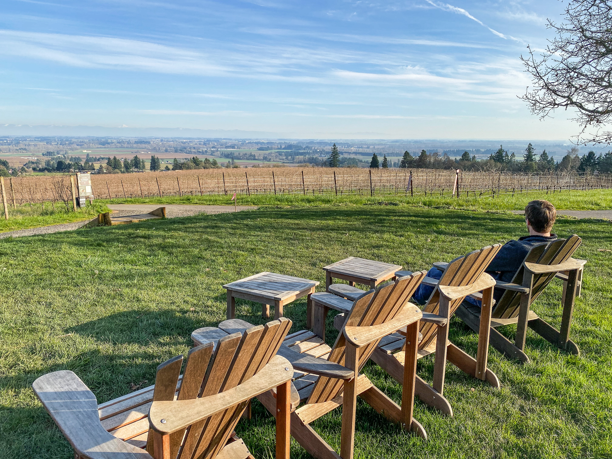 View overlooking Willamette Valley at Durant Vineyards. The best wineries in Willamette Valley. Durant at Red Ridge Farms. Dayton, Oregon. Willamette Valley wineries.