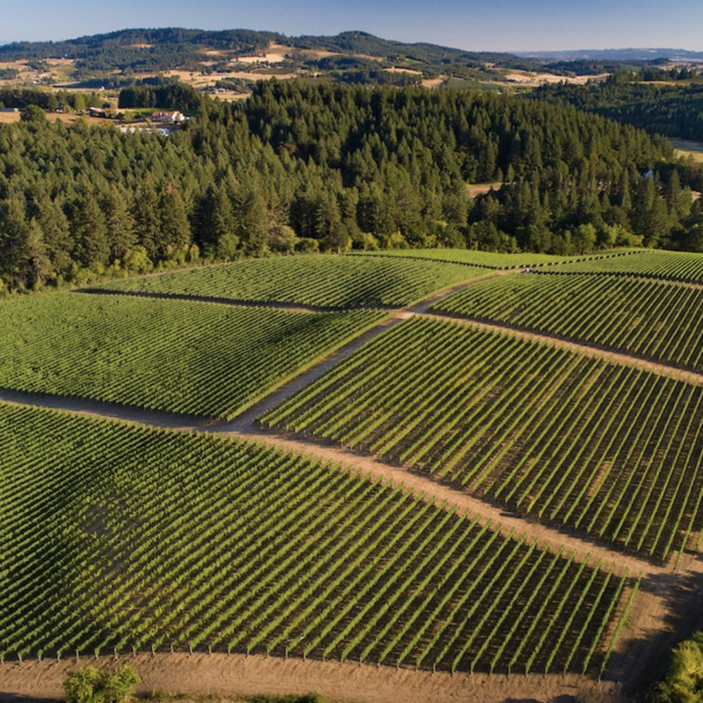 Patricia Green Cellars, Newberg, Oregon. The best wineries in Willamette Valley. Willamette Valley wineries.