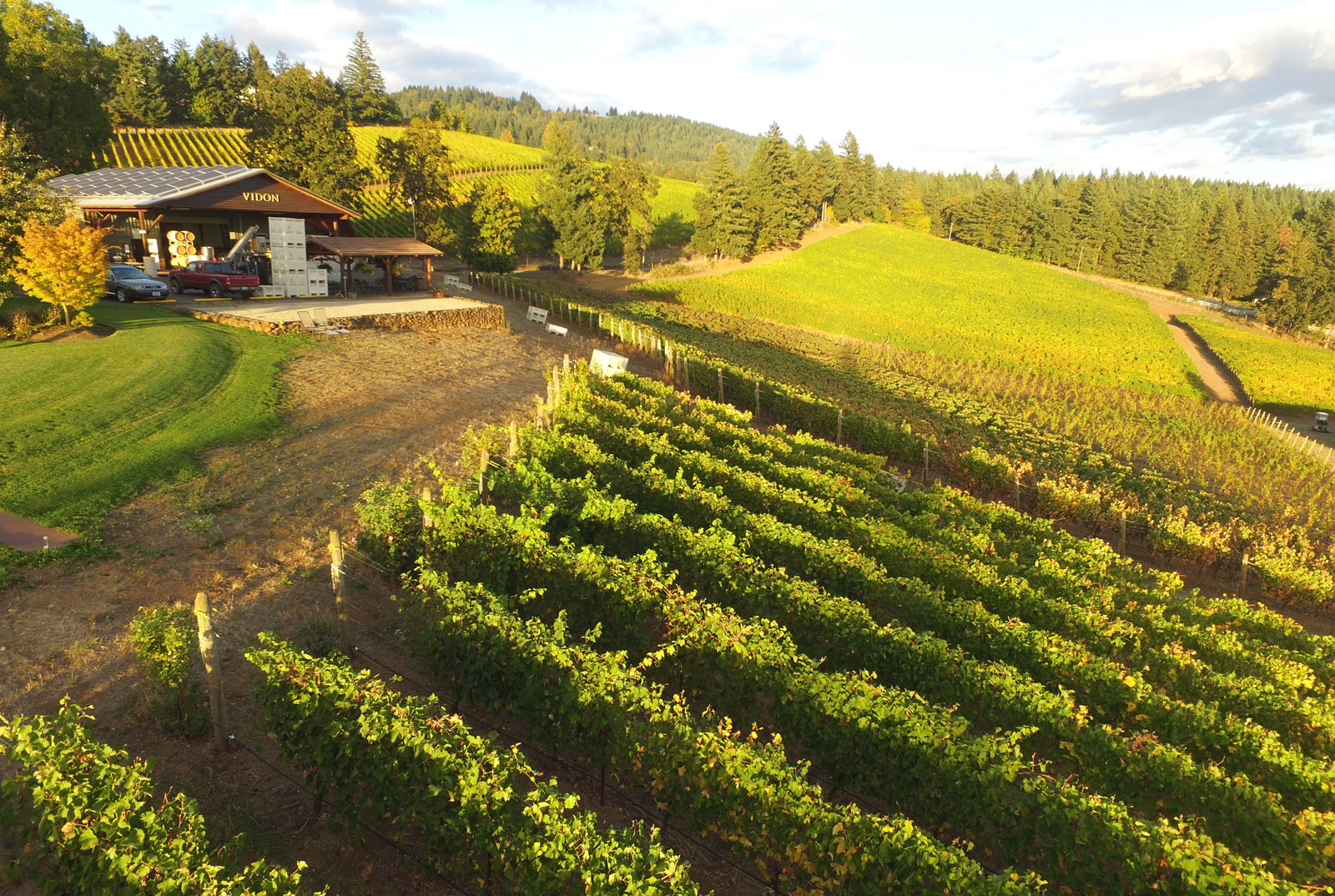 Vidon Vineyard, Newberg, Oregon. The best wineries in Willamette Valley. Willamette Valley wineries.