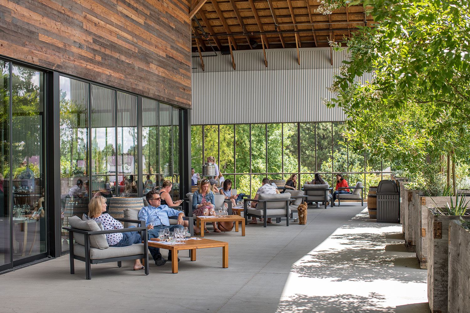 Argyle Winery, Dundee, Oregon. The best wineries in Willamette Valley. Willamette Valley wineries.