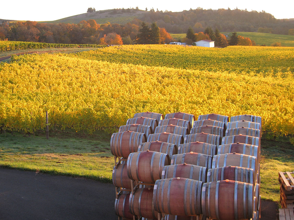 Bethel Heights Vineyard, Salem, Oregon. The best wineries in Willamette Valley. Willamette Valley wineries.